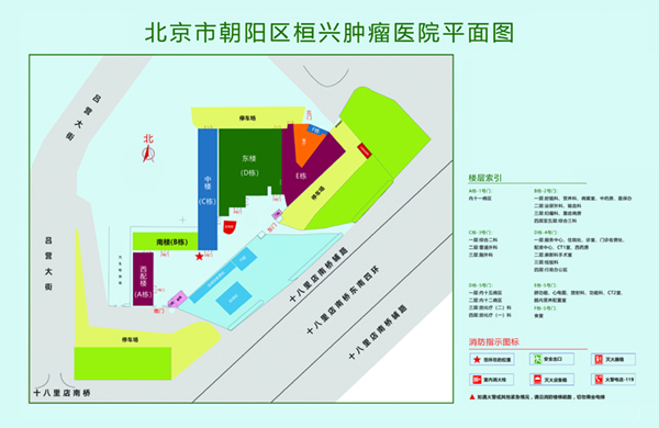 被爆操逼好爽视频北京市朝阳区桓兴肿瘤医院平面图